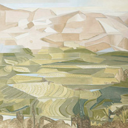 Rice-fields, Palni Hills - II                                                                                                                                                                           