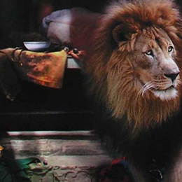 Lion & the milk bowl (close up)                                                                                                                                                                         
