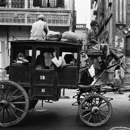 Horse buggy, Calcutta                                                                                                                                                                                   