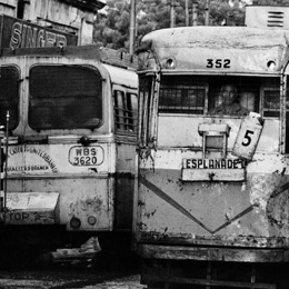 Trams & buses, Calcutta                                                                                                                                                                                 