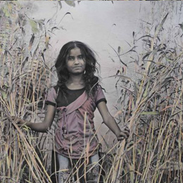 Lalitha in the Grasses                                                                                                                                                                                  
