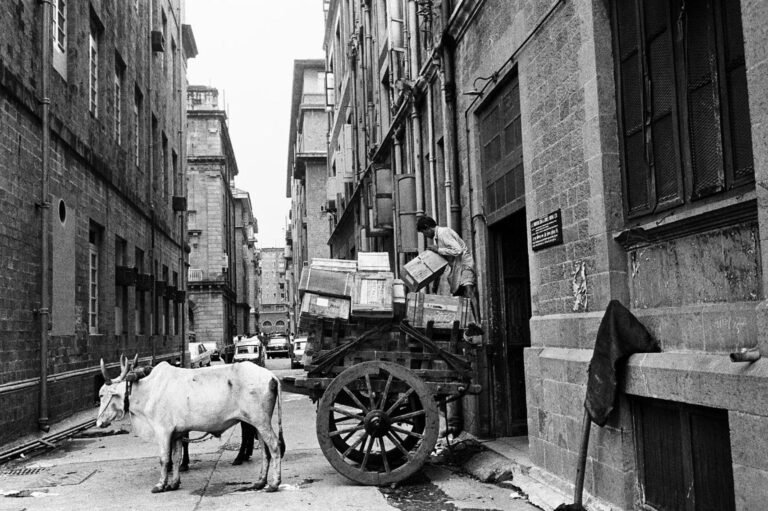 Pablo Bartholomew | Bullock cart being loaded at Ballard Estate, Bombay | Circa 1979 | Black and White pigment prints (Edition of 10) | 16 x 24 Inches