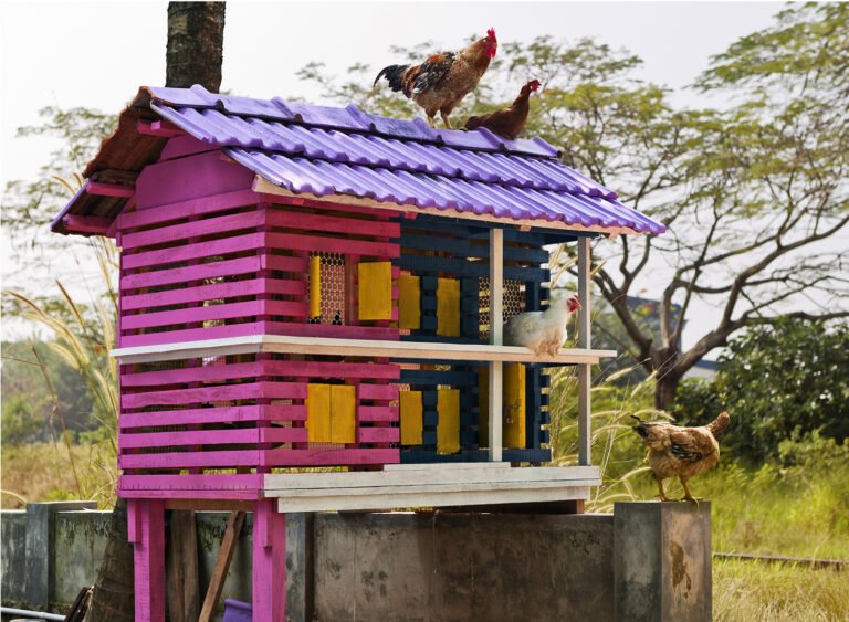 Vivek Vilasini | Housing Dreams – Chicken Coop 2 | 2013 | Archival print on archival hahnemuhle paper | 60 x 81 Inches