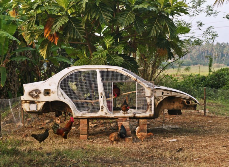 Vivek Vilasini | Housing Dreams – Chicken Coop 1 | 2013-14 | Archival print on archival hahnemuhle paper. Limited edition 2 of 9 + 1 AP | 57 x 78 Inches