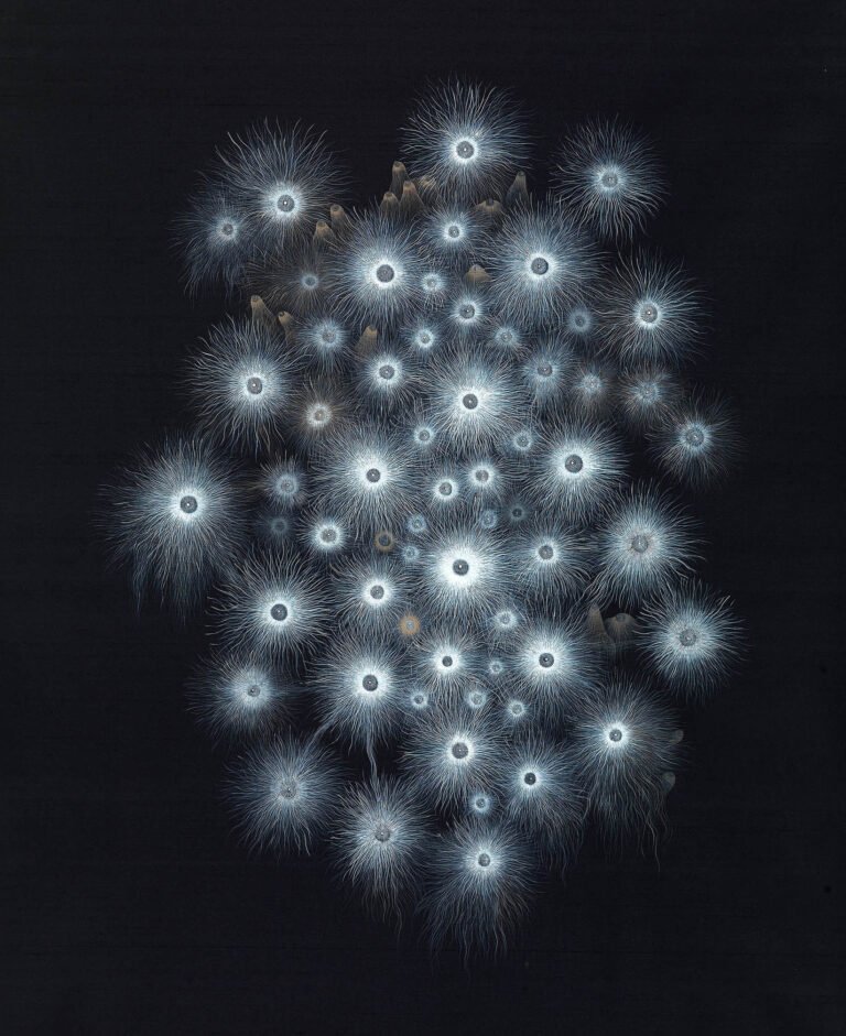 Kim Seola | From Molecules To The Cosmos | 2019 | Ink on silk | 53 x 45 inches