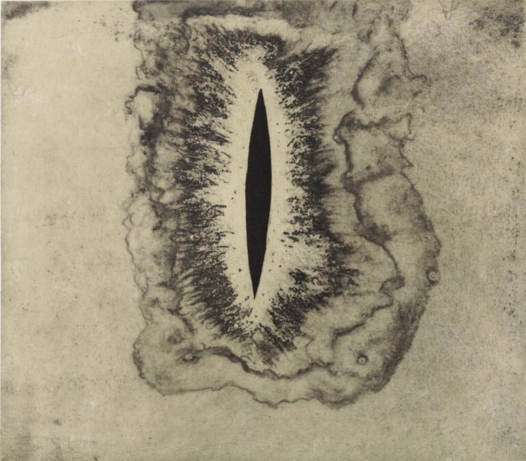 Anish Kapoor | Blackness From Her Womb 6 | 2001 | White background aquatints, from the portfolio of 13, on Fabriano Tiepolo and Gampi paper. Edition of 30 + AP | 17 x 15 Inches