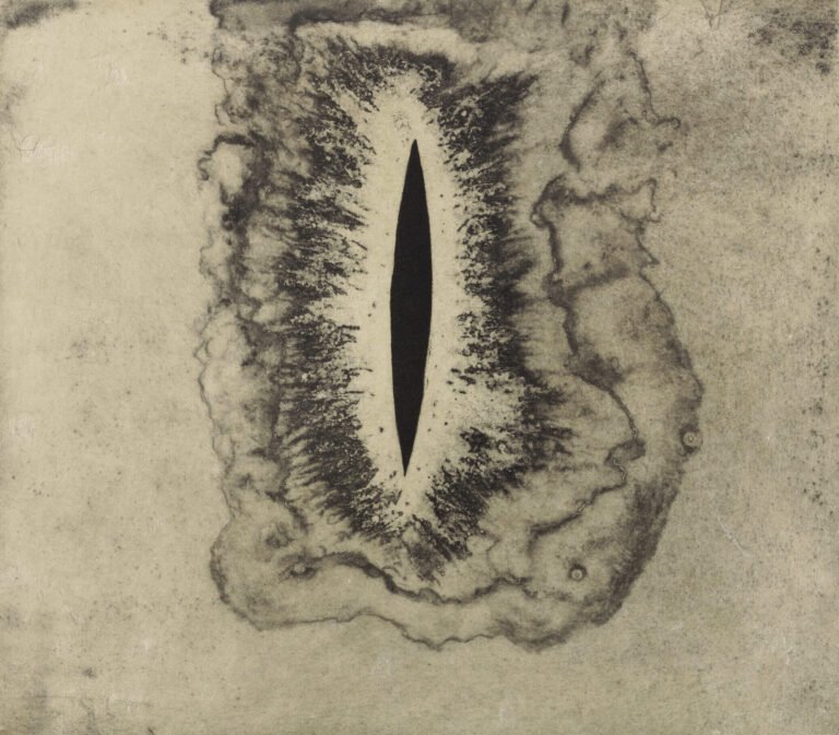 Anish Kapoor | Blackness From Her Womb 6 | 2001 | White background aquatints, from the portfolio of 13, on Fabriano Tiepolo and Gampi paper. Edition of 30 + AP | 17 x 15 Inches