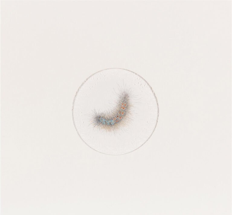 Kim Seola | Untitled | 2013 | Watercolour on paper | 10 x 10 inches