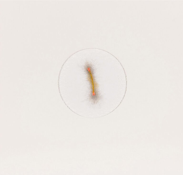 Kim Seola | Untitled | 2013 | Watercolour on paper | 10 x 10 inches