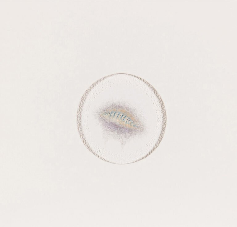 Kim Seola | Untitled | 2013 | Watercolour on paper | 10 x 10 inches