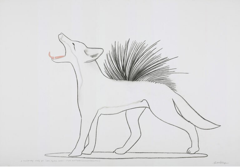 Surendran Nair | A preliminary study for Canis hystrix aureus: Flora & Fauna (cuckoonebulopolis) | 2010 | Charcoal and watercolour on paper | 27.5 x 39.5 Inches