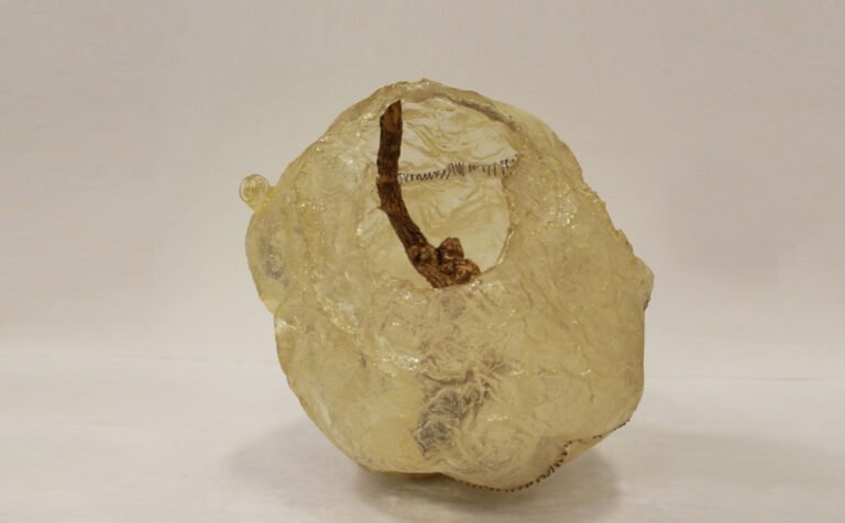 Ratna Gupta | Contain me | 2021 | Resin, copper wire, organic matter & archival adhesive | 8(H) x 7.75(L) x 8.5(W) Inches