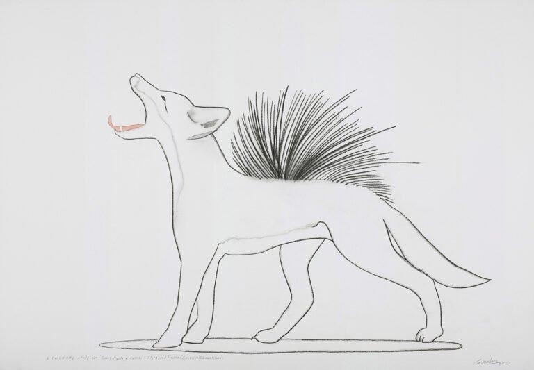 Surendran Nair | A Preliminary Study For Canis Hystrix Aureus: Flora & Fauna (Cuckoonebulopolis) | 2010 | Charcoal and watercolour on paper | 27.5 x 39.5 Inches