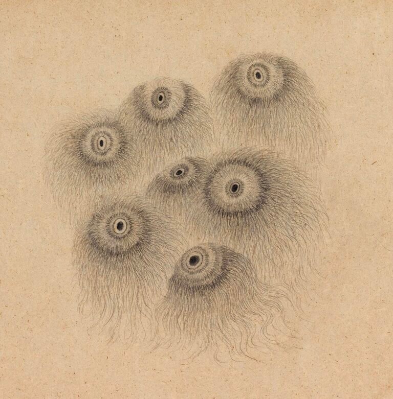 Kim Seola | Drawing for Dark Openings | 2024 | Pencil on Korean paper | 15 x 15 Inches