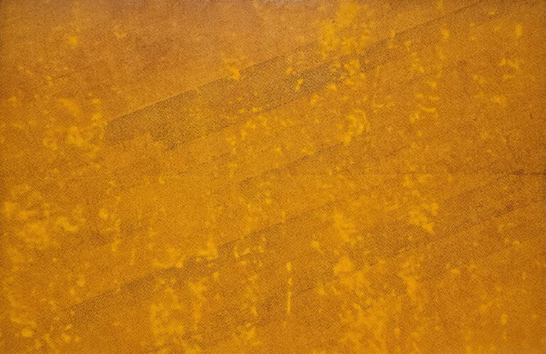 Ritesh Ajmeri | Rusted Skin XII | 2023 | Rust and acrylic on canvas | 50 x 75.5 Inches