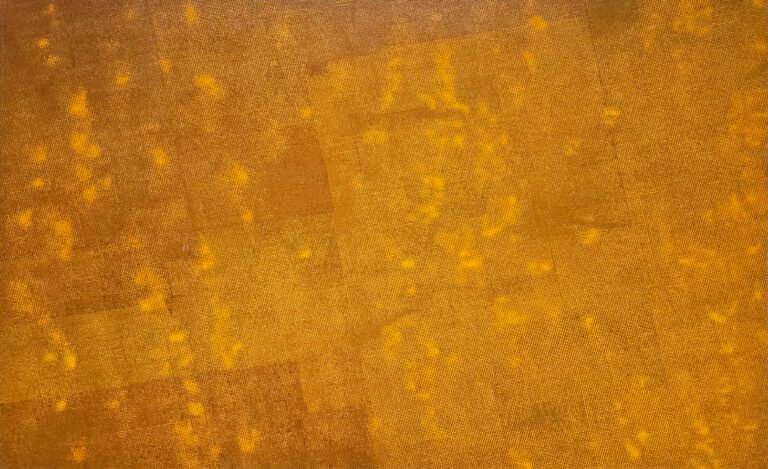 Ritesh Ajmeri | Rusted Skin XI | 2023 | Rust and acrylic on canvas | 50 x 75.5 Inches