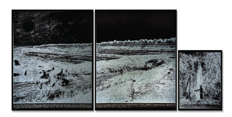 Bhanu Shrivastav | Our Burning Land | 2025 | Laser cut on wood (Triptych) | Display size: 27.5 x 59 Inches