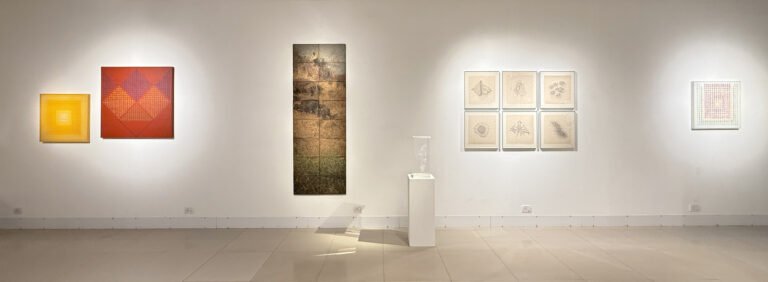 Display Image