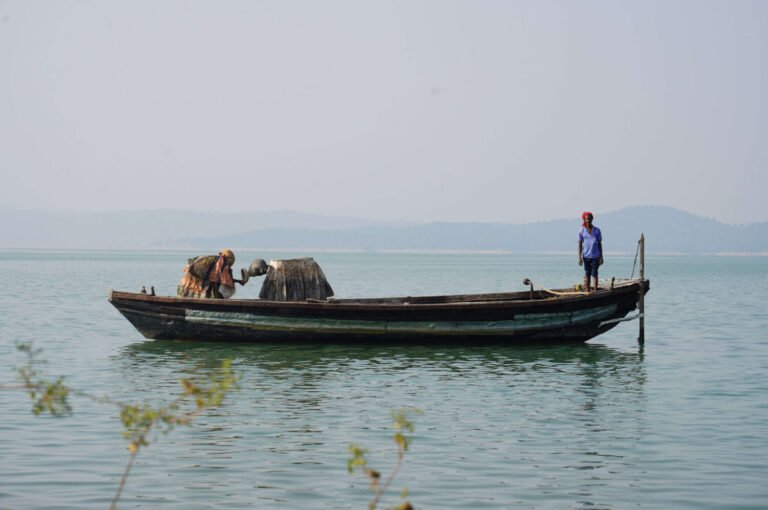 Debashish Paul | Me with My Pet – 9 | 2022-23 | Archival print on Hahnemuhle Photo Rag Bright White 310 gsm mounted on Dibond. Limited edition 1 of 10 + 1 AP | 16 x 24 Inches