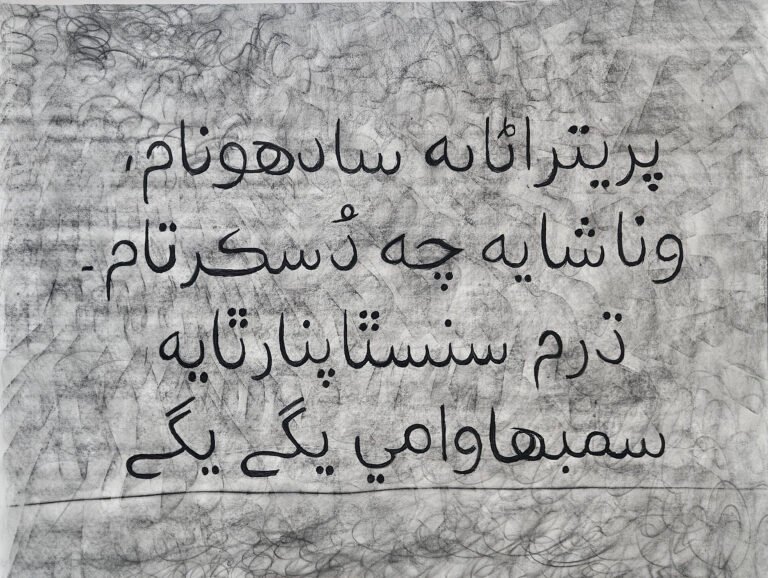 Vivek Vilasini | Glyphs in Tales (Paritranaya sadhunam) | 2026 | Charcoal on paper | 37.5 x 55.5 Inches