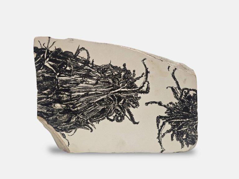 Shadiya CK | How to Plant Stones VII | 2025 | Etched drawing on limestone | 9.5(H) x 13.5(W) x 2.5(D) Inches