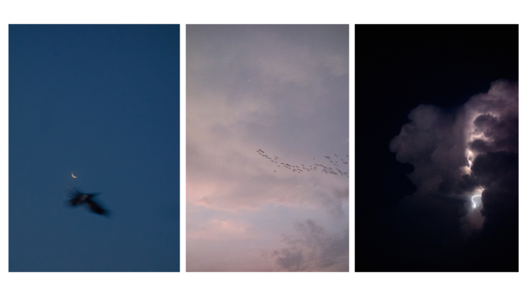 Soham Gupta | Untitled | 2020-21 | Archival pigment print. Limited edition of 12 + 3 AP | 18 x 12 Inches each