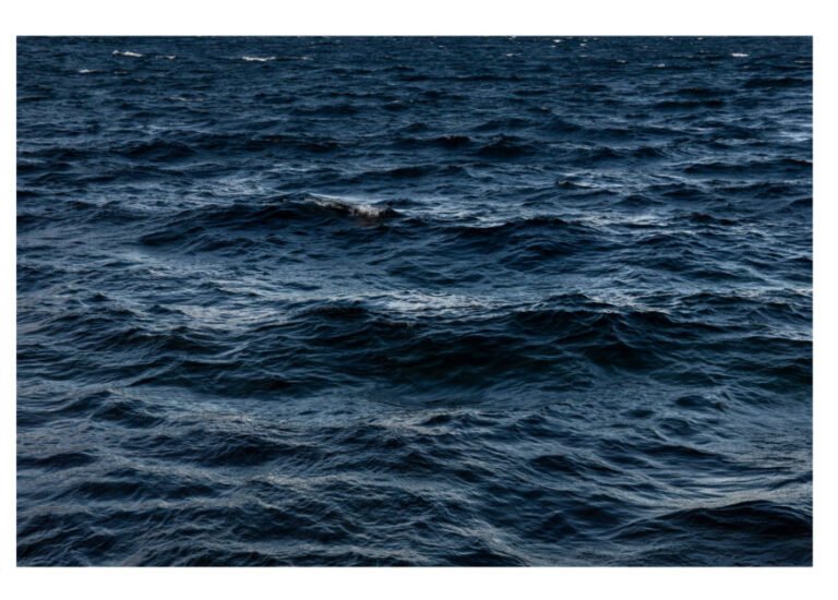 Atul Bhalla | Storm I | 2026 | Archival pigment print. Limited edition 1 of 3 + 1 AP | 42 x 66 Inches
