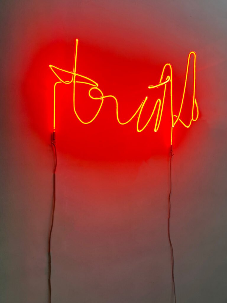 Shilpa Gupta | Truth | 2025 | Glass tubing and neon | 12(H) x 22(W) x 11(D) Inches